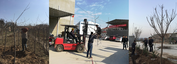 寶雞捷銳“迎春風(fēng)，綠家園”植樹節(jié)(圖2)